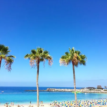 Апарт-отель Club Playa 3*