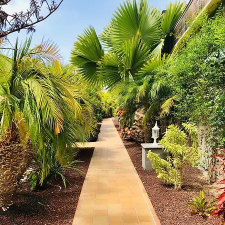 Club Playa Aparthotel 3*