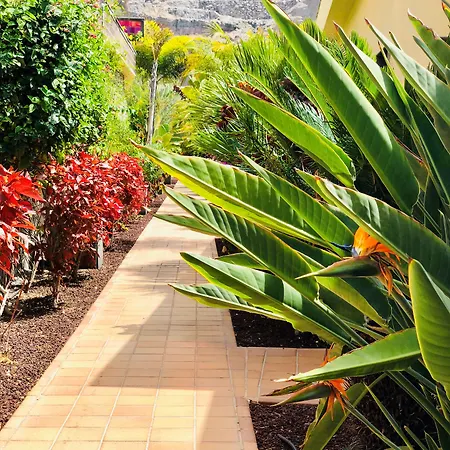 Club Playa Aparthotel