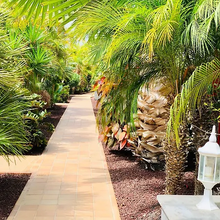 Club Playa Aparthotel 3*